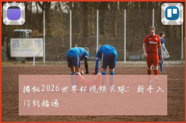 揭秘2026世界杯视频买球：新手入门到精通
