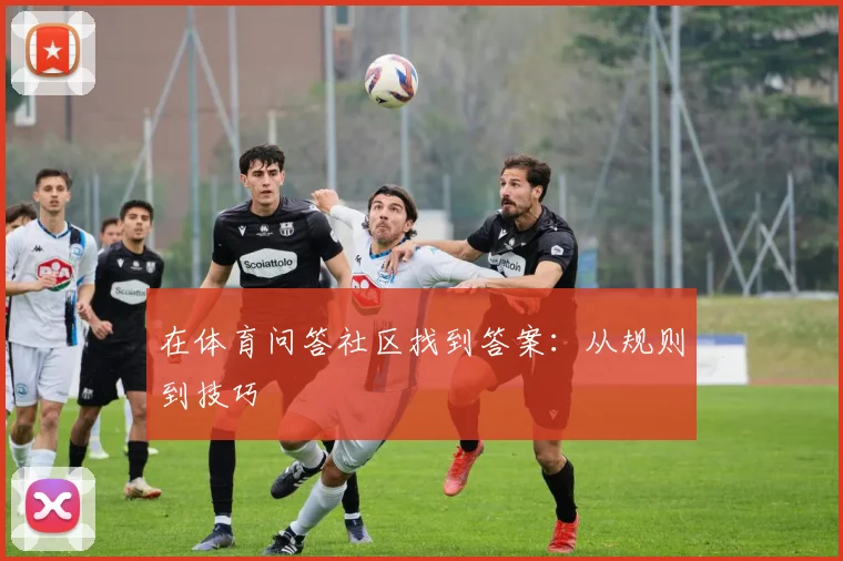 在体育问答社区找到答案：从规则到技巧